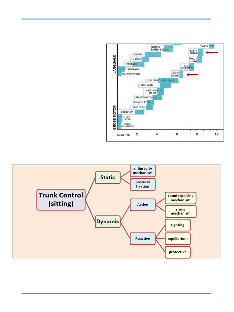 Facilitating Trunk Control in Sitting | PDF