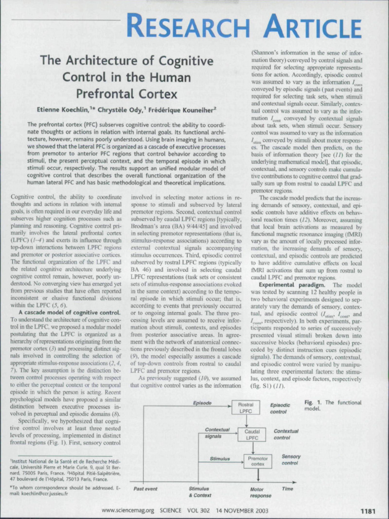 La Estructura Cognitiva en La Corteza Prefrontal | PDF | Prefrontal ...