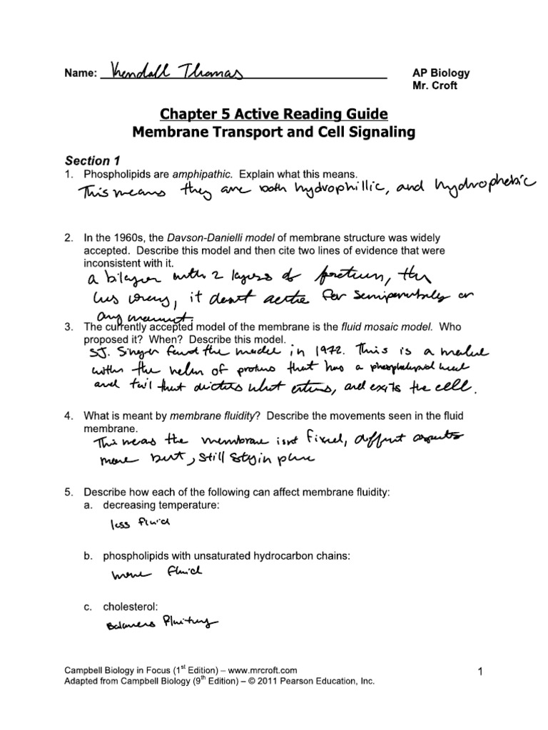 Chapter+5+Guided+Reading+%28Excluding+5.6%29 | PDF