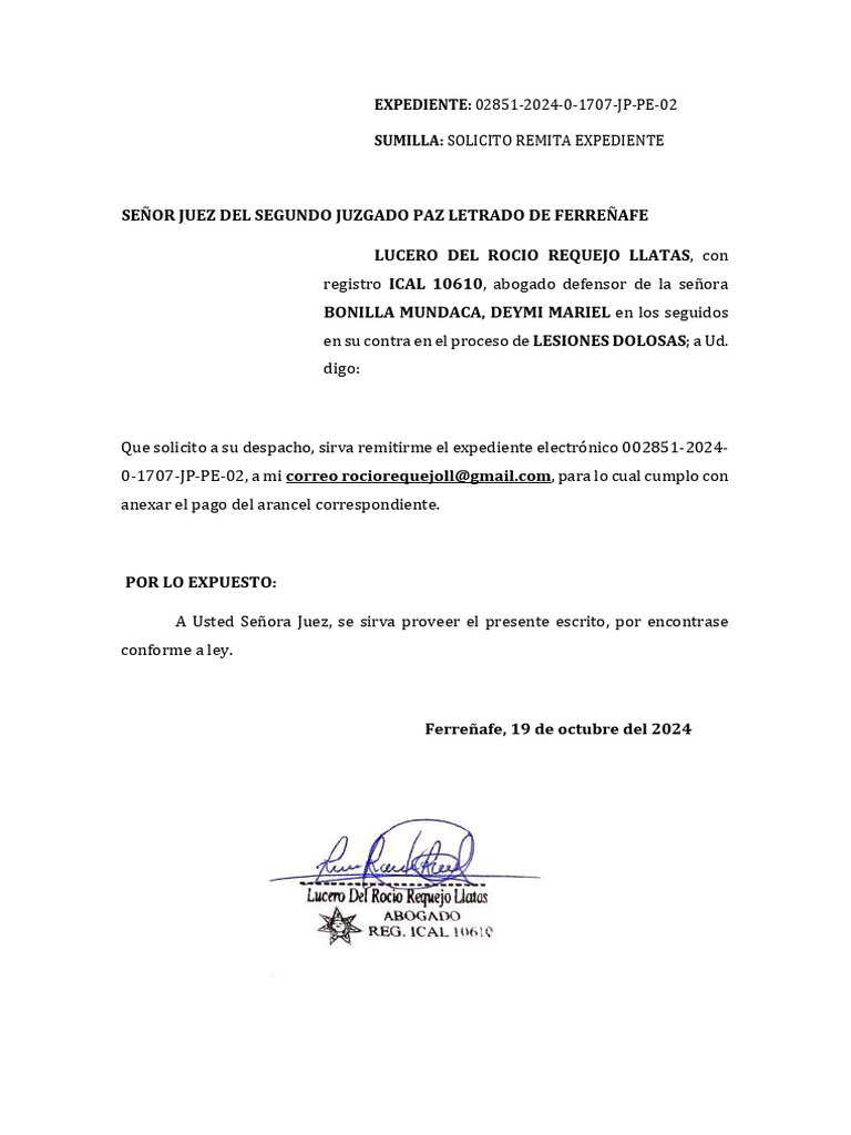 Solicito Remita Expediente | PDF