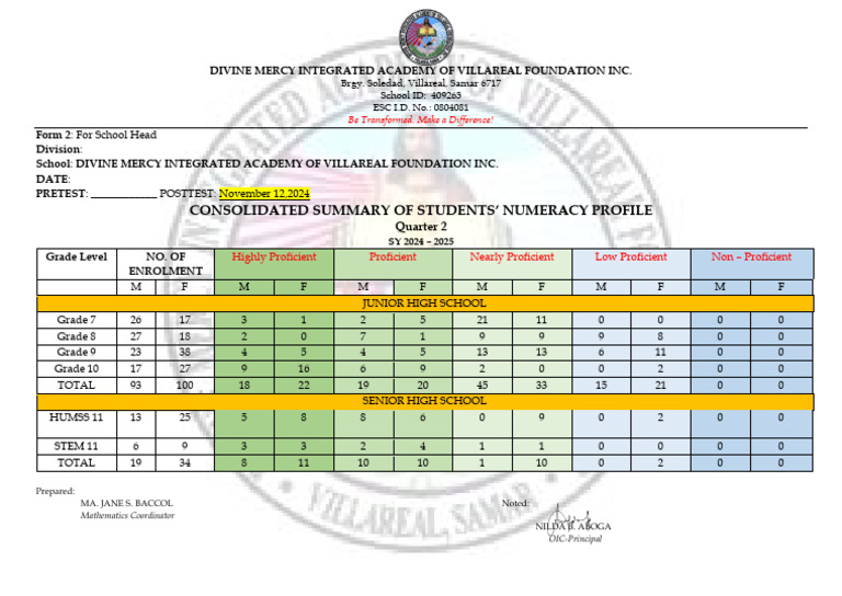 Students' Numeracy Profile Summary 2024 | PDF