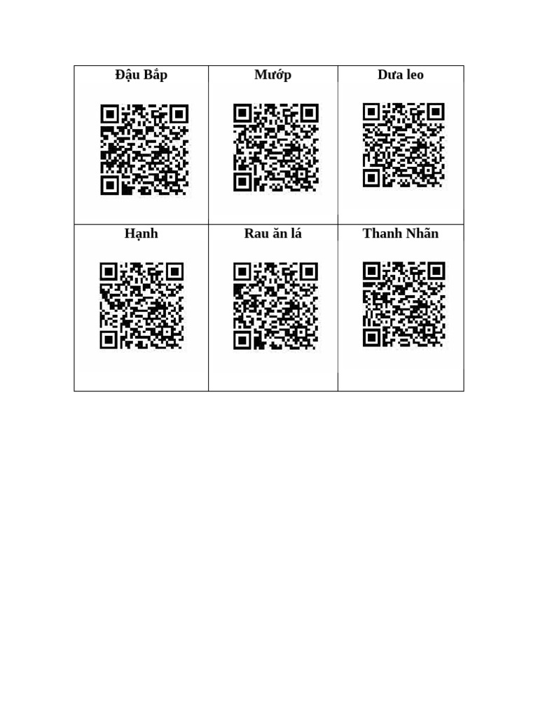 Mã QR | PDF