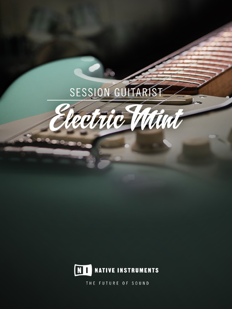 Electric Mint User Guide | PDF | String Instruments | Guitars