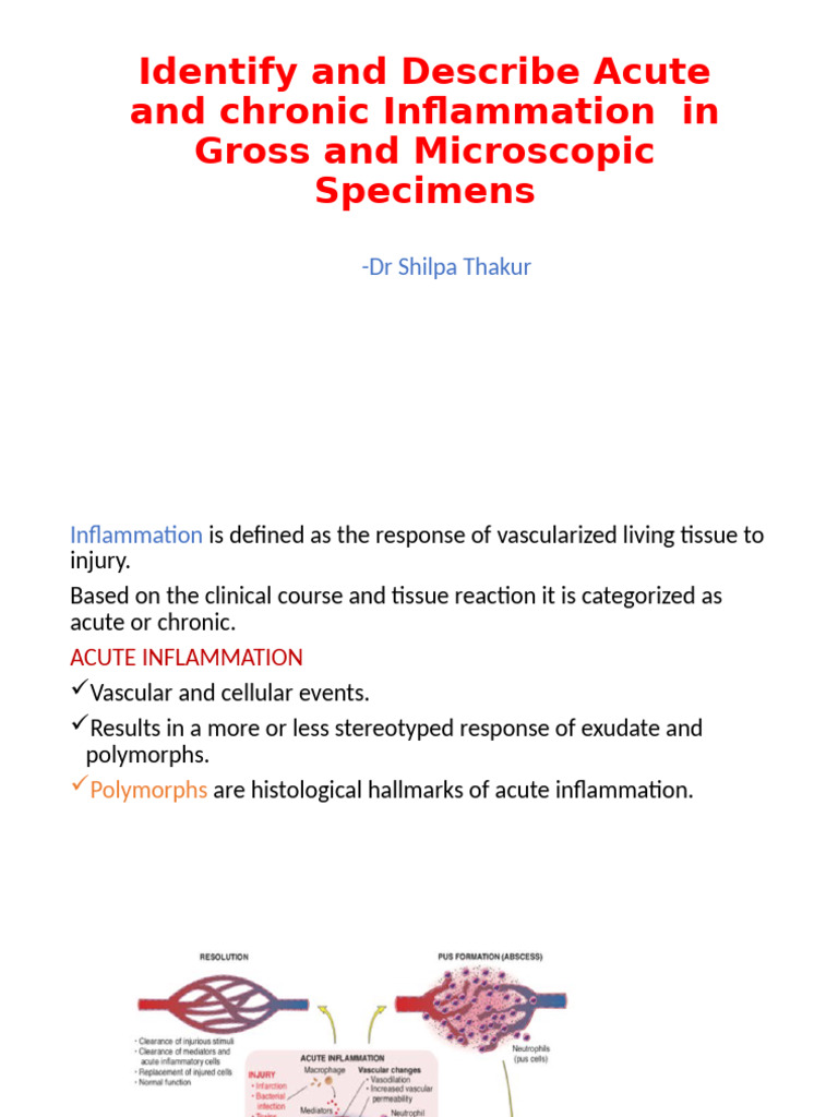 Inflammation 2ND Prof | PDF | Inflammation | Medical Specialties