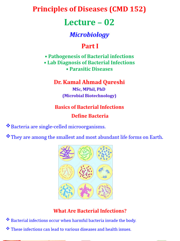Bacterial Infections: Pathogenesis & Diagnosis | PDF | Infection | Bacteria