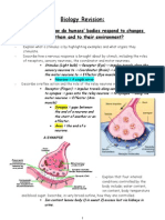 Biology Revision:: Topic 11.1 - How Do Humans' Bodies Respond To Changes Inside Them and To Their Environment?