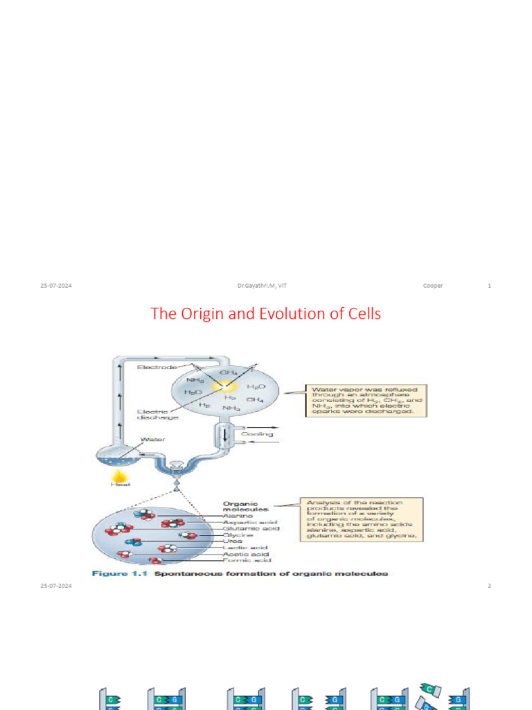 Evolution of Life and Cells | PDF