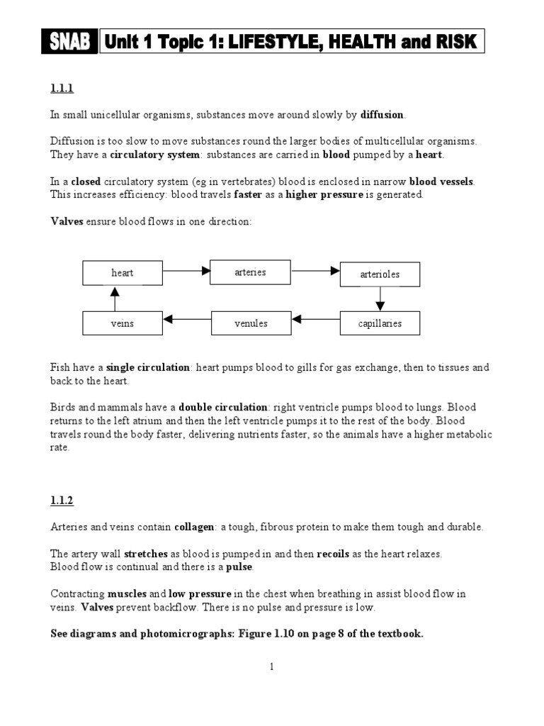 As SNAB Revision Notes | PDF