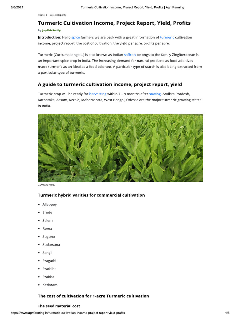 Turmeric Agri | PDF