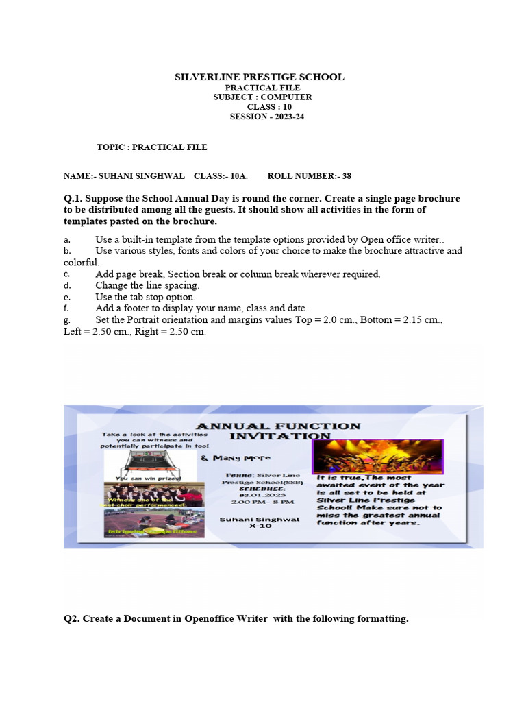 Class 10 Computer Practical File | PDF | Spreadsheet | Computing