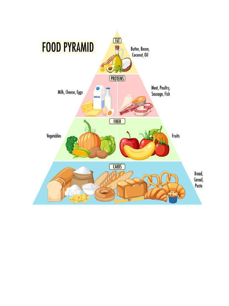 Print Out Food Chain | PDF