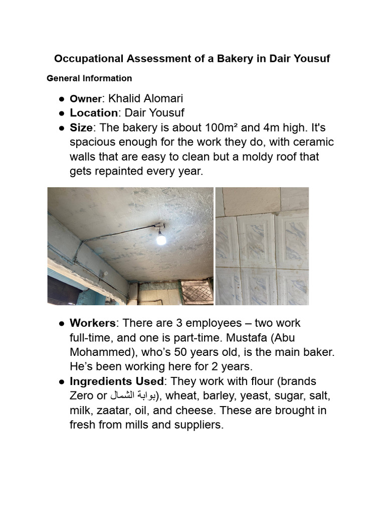 Occupational Assessment of A Bakery in Dair Yousuf | PDF | Hazards ...