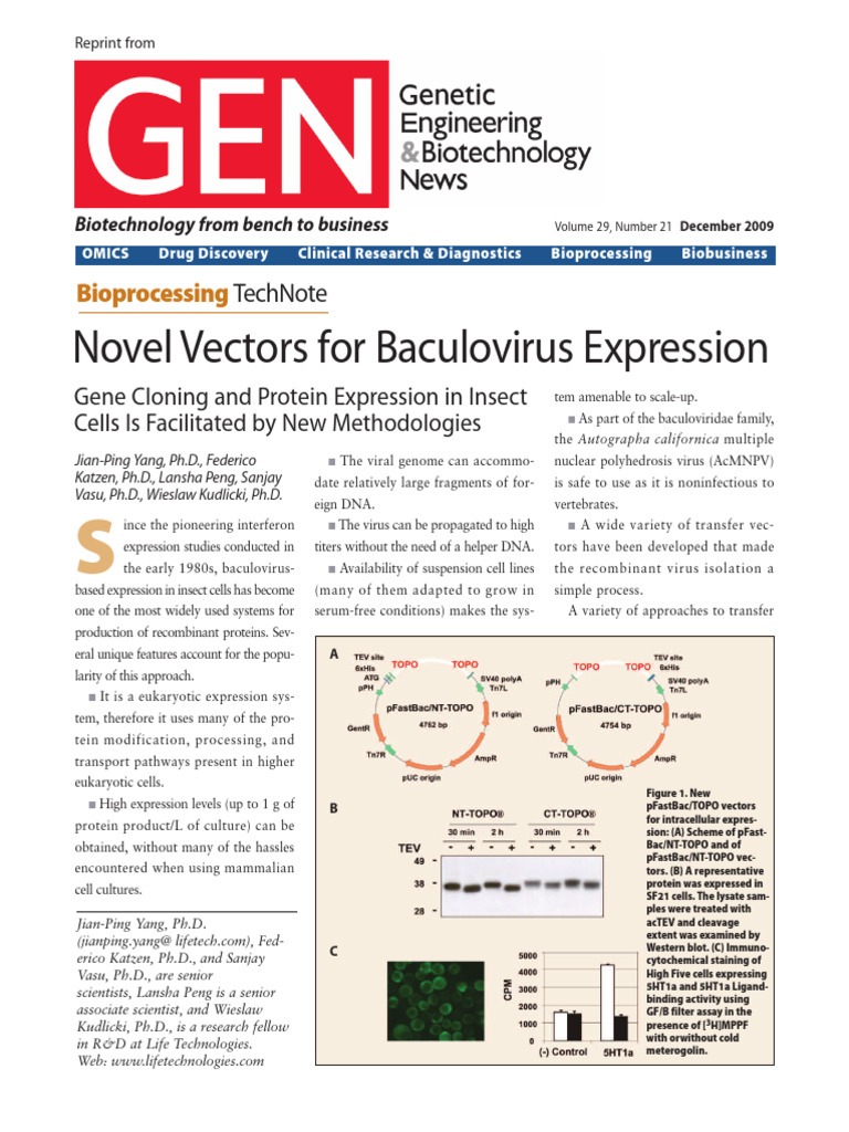 Novel Vectors For Baculovirus Expression | PDF | Molecular Cloning ...
