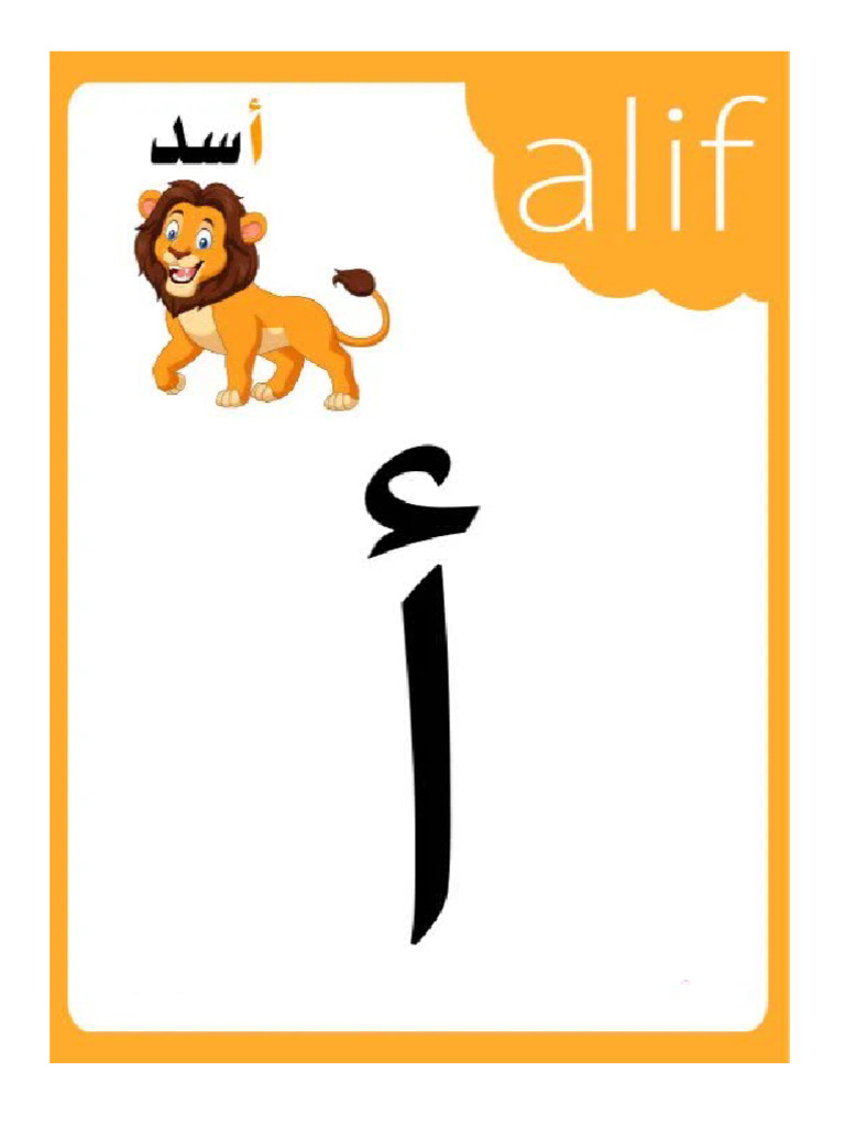 Alf Baa Flashcards | PDF