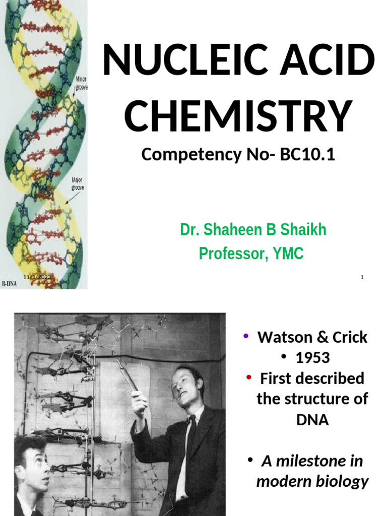 Nucleic Acid Chemistry Overview | PDF | Dna | Rna
