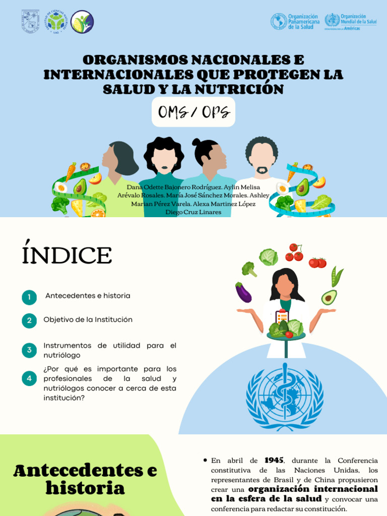 OMS - Presentación Organizaciones de Salud | PDF | Organización Mundial ...