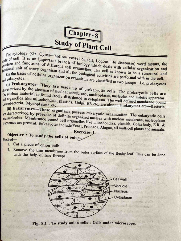 Botany Cell Biology Practical | PDF