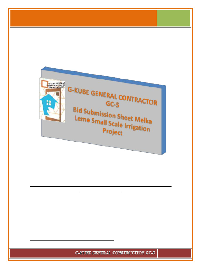 Bore Irrigation Bid submission for print PDF Financial Statement