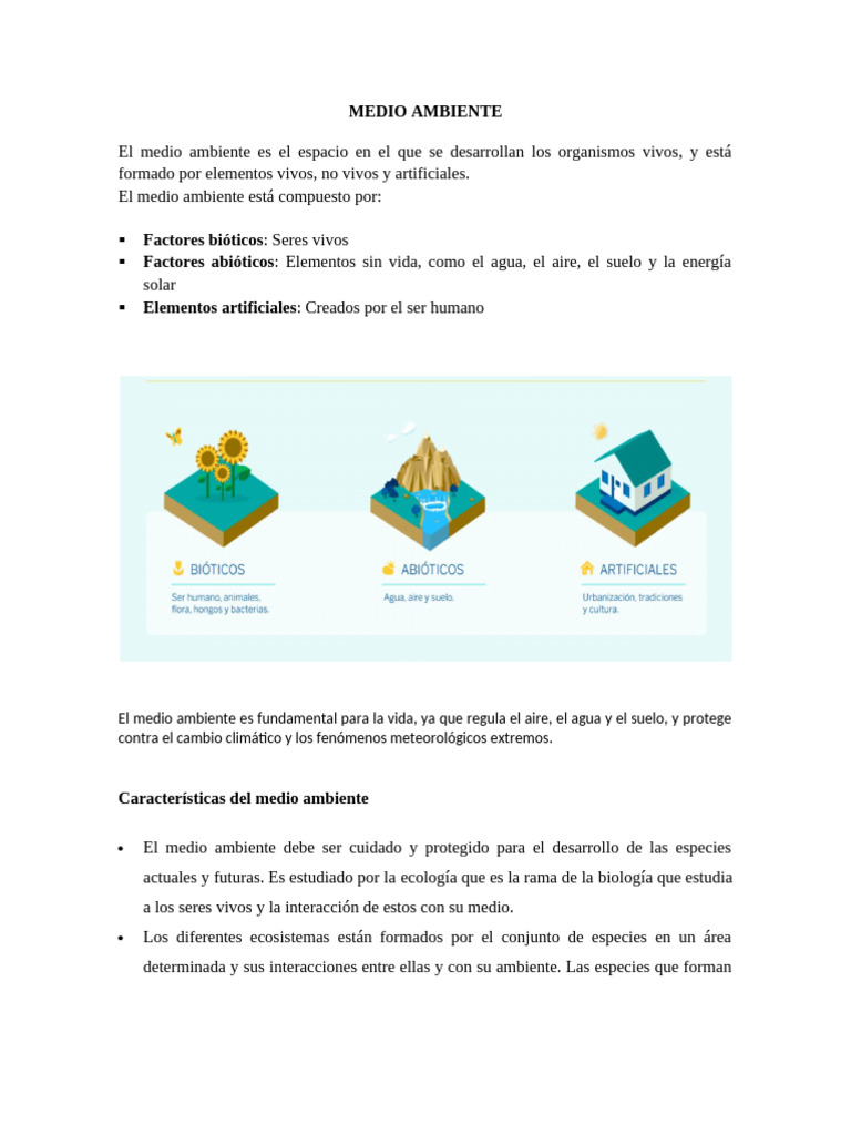 Importancia y cuidado del medio ambiente | PDF | Entorno natural ...