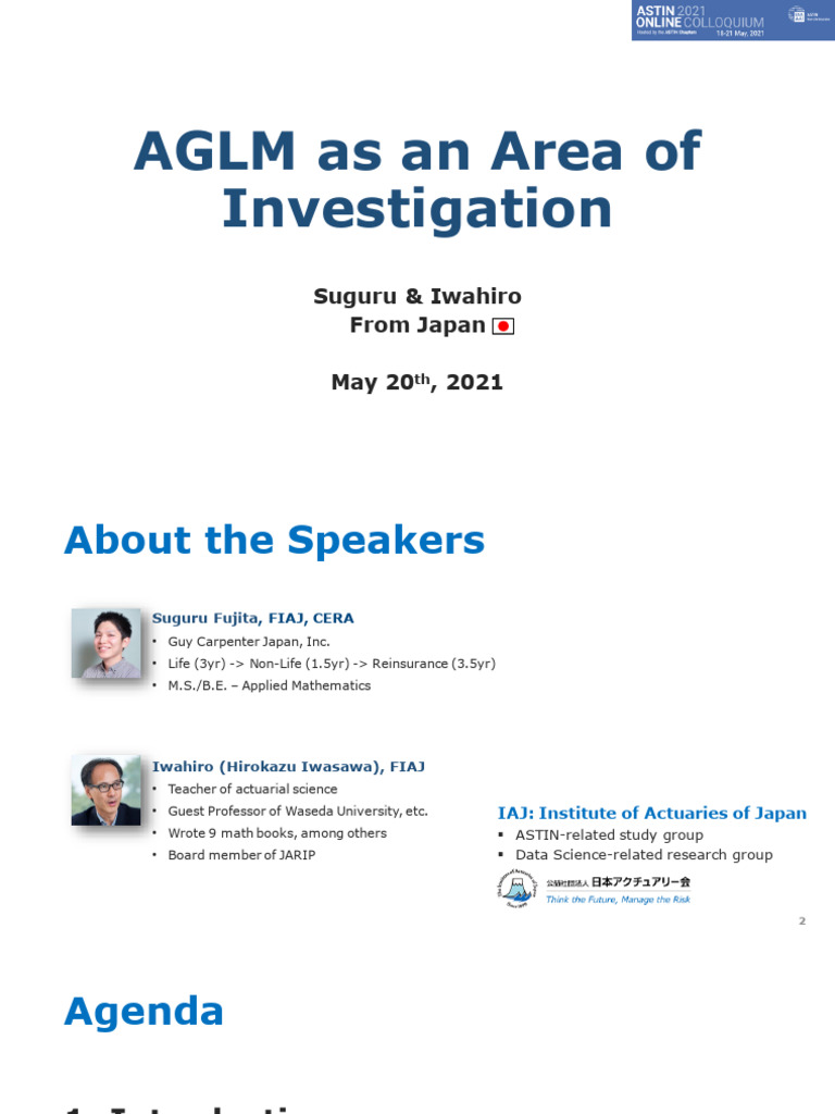 AGLM Explanation | PDF | Statistical Theory | Estimation Theory
