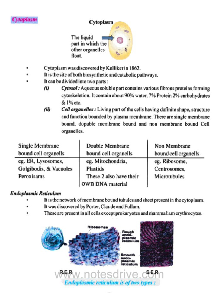 Overview of Cell Cytoplasm and Organelles | PDF | Endoplasmic Reticulum ...