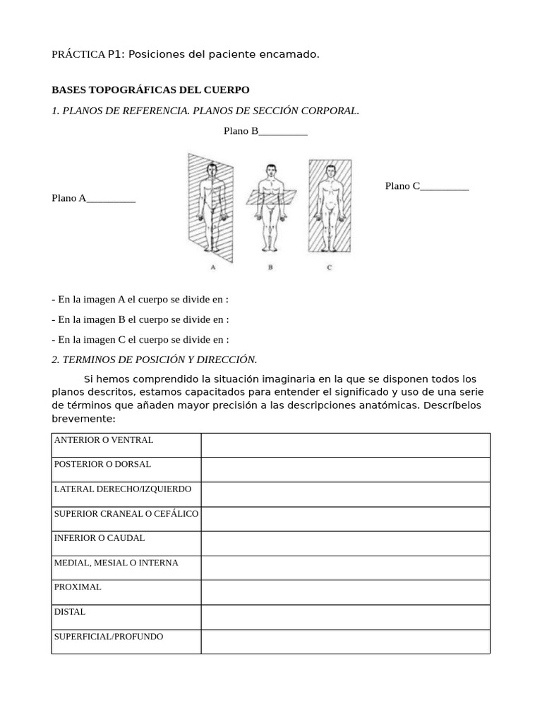 P1 - Posiciones Del Paciente Encamado. | PDF