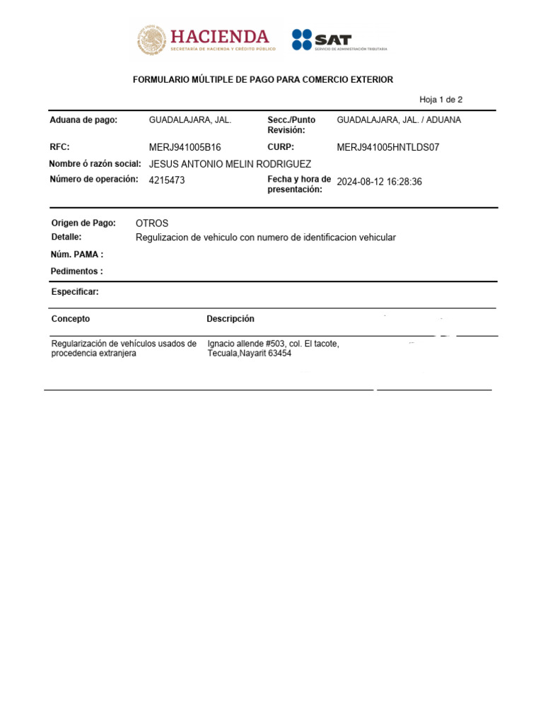 Pago MERJ941005B16 | PDF | aduana | Gobierno
