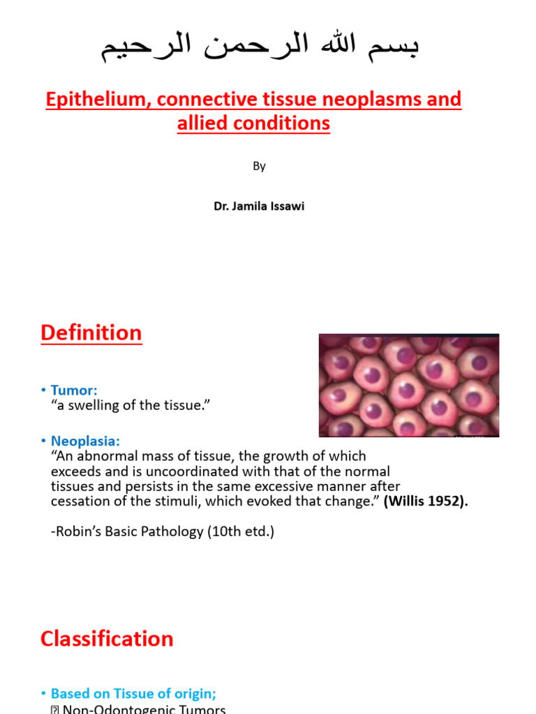 Epithelial and Connective Tissue Tumors | PDF | Epithelium | Neoplasms