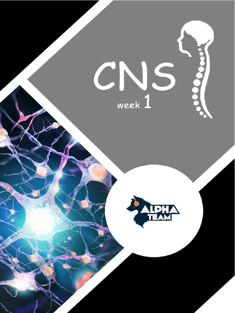 CNS - Week 1 Final | PDF | Vein | Neck