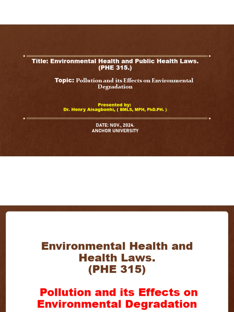 Pollution's Impact on Health & Environment | PDF | Water Pollution ...
