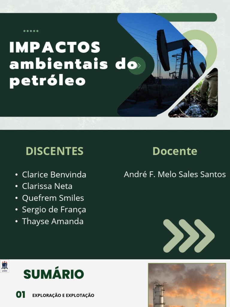 Impactos Ambientais do Petróleo | PDF | Petróleo | Derramamento de petróleo