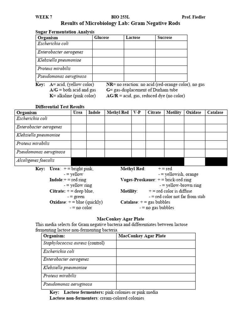 BIO253L+WEEK+7+Data+record+sheet | PDF