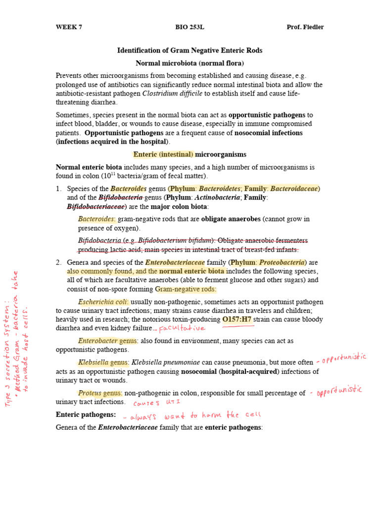 Bio253l+Week+7+Handout | PDF | Catalase | Salmonella