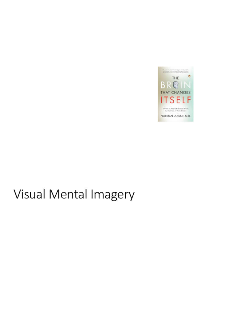 Imagination I | PDF | Mental Image | Visual Cortex
