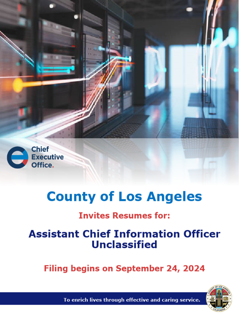 Assistant Chief Information Officer Role | PDF | Chief Information ...