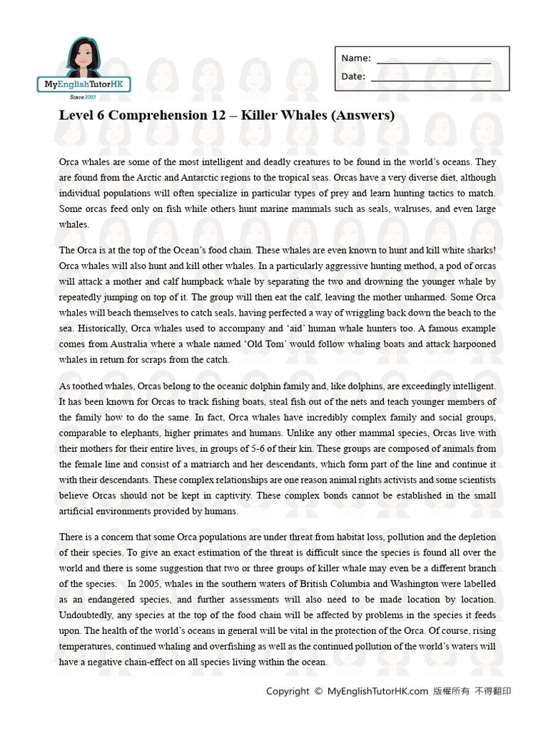 Level 6 Comprehension 12 Killer Whales 20394944 Answers | PDF | Whales ...