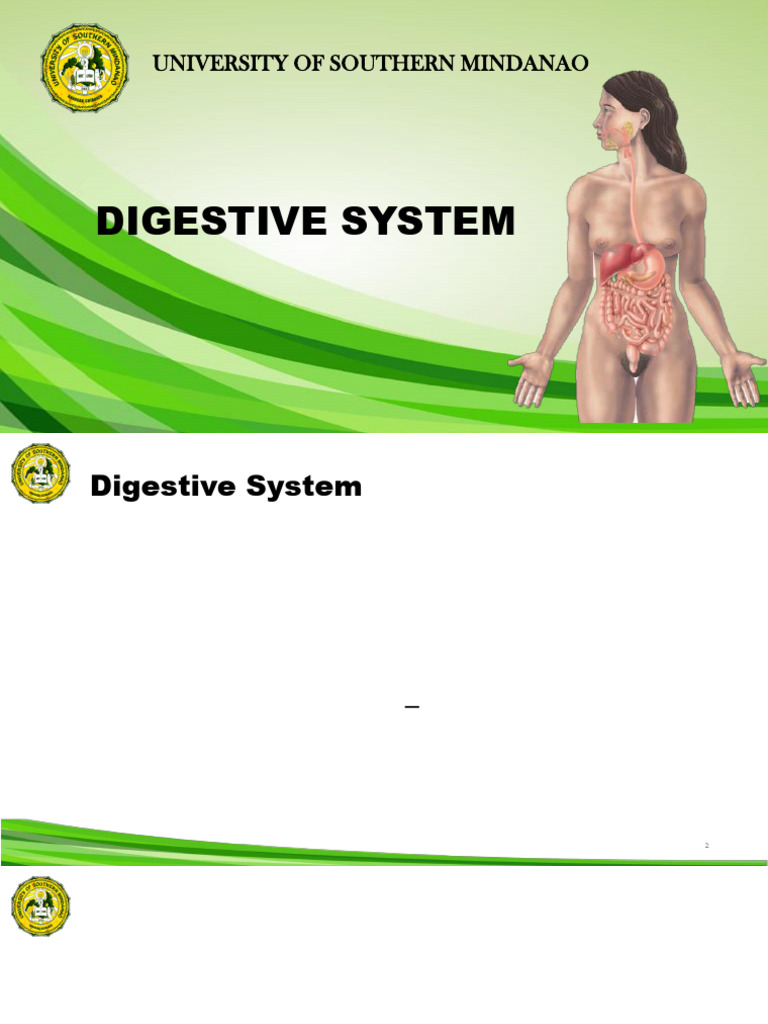 Anatomy & Physiology: Digestion | PDF | Stomach | Human Digestive System