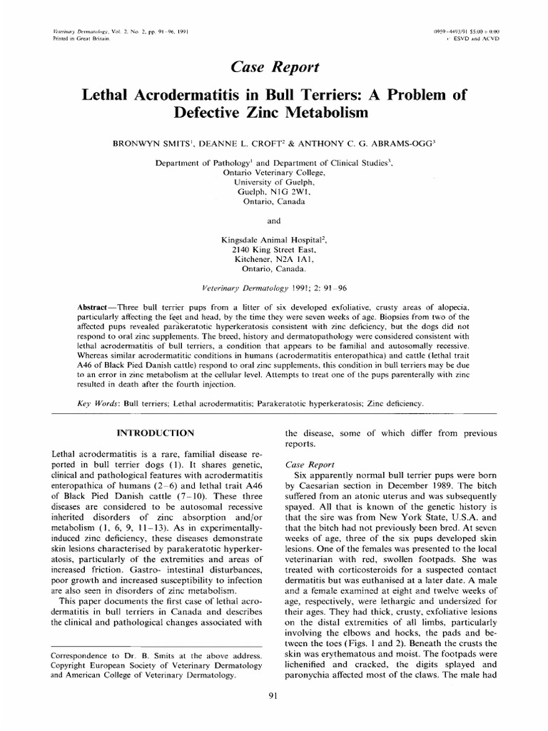 lethal-acrodermatitis-in-bull-terriers-a-problem-of-defective-zinc