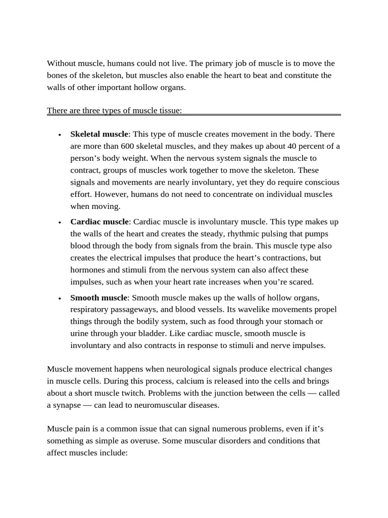 Types of Muscle Tissue Explained | PDF | Muscle | Skeletal Muscle