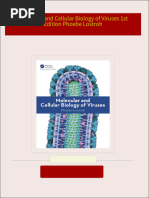 DNA Mutations Lab Answer Key | PDF | Genetic Code | Point Mutation