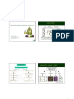Aplicação de Marcadores Moleculares Na Agricultura