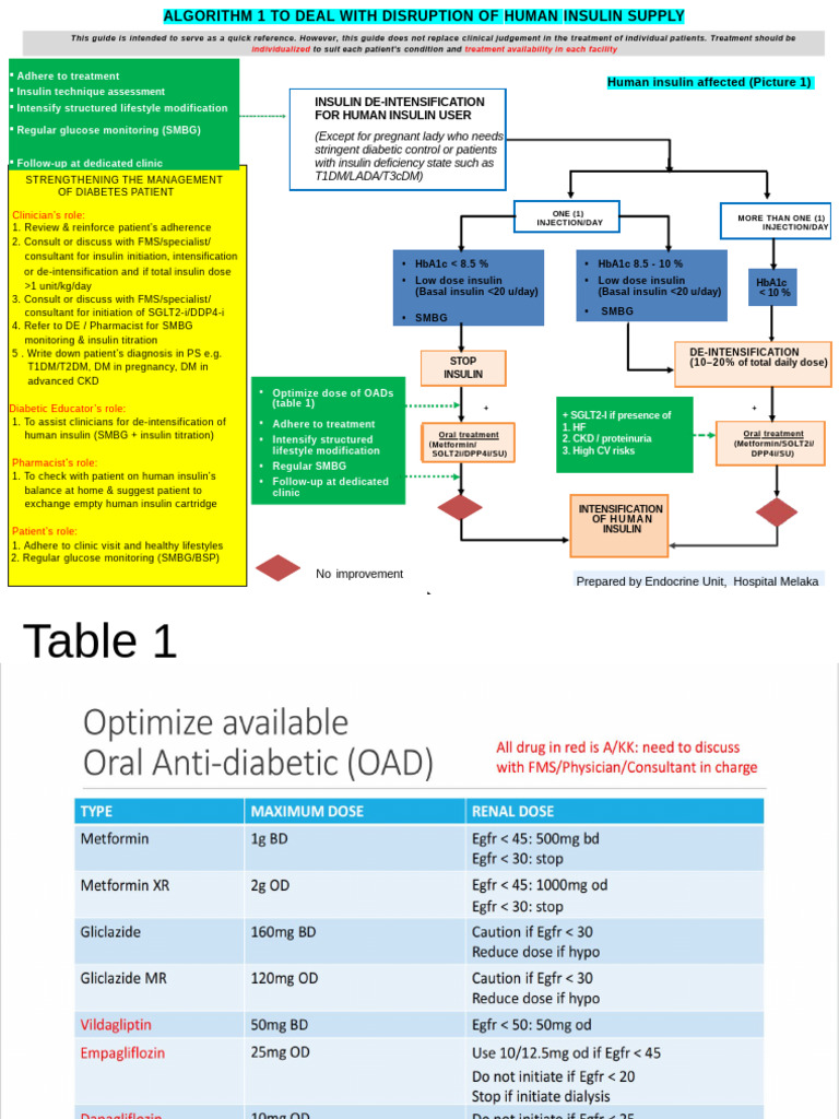 Insulin Shortage Algorithm 1. Pptx | PDF | Diabetes | Insulin