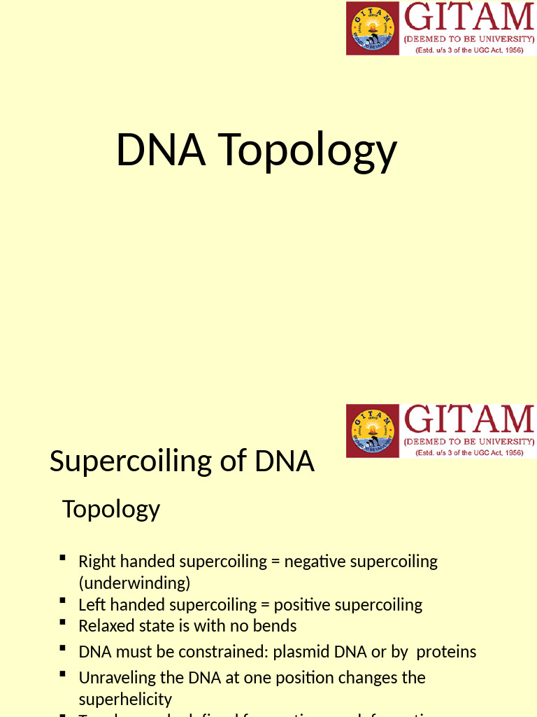 Understanding DNA Topology and Supercoiling | PDF | Biomolecules ...