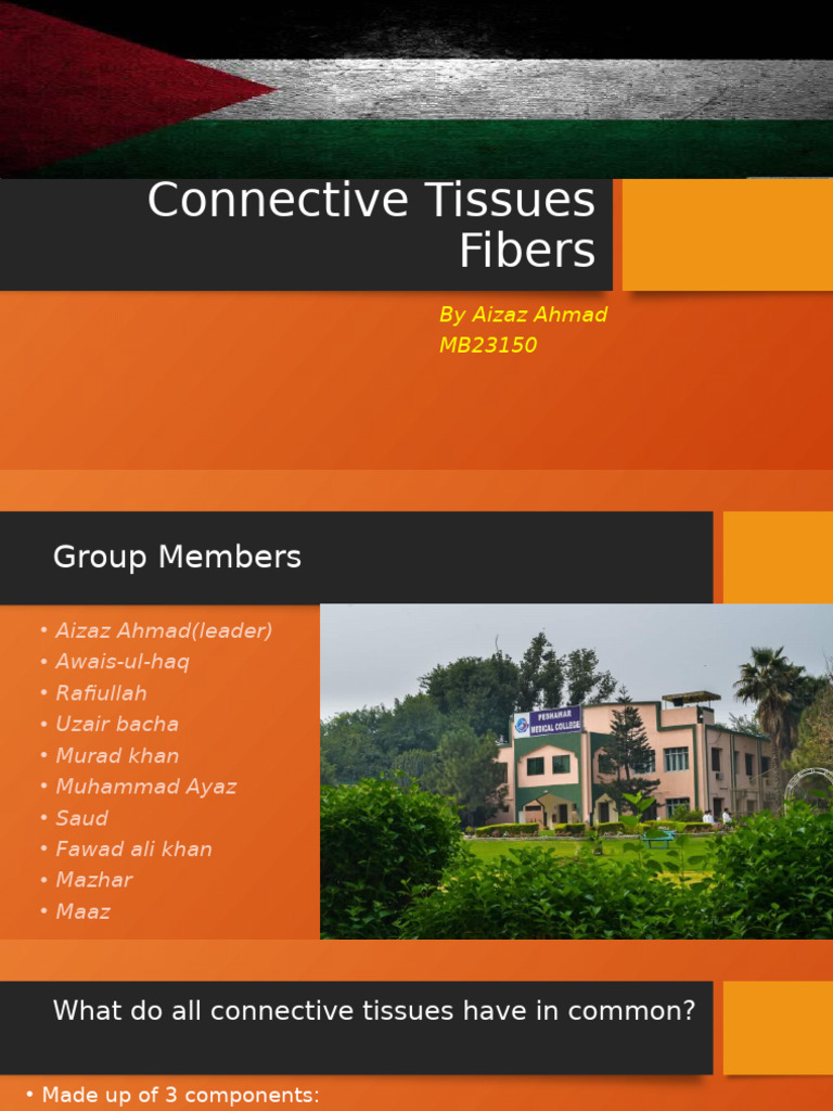 Connective Tissue FIBERS | PDF | Connective Tissue | Collagen