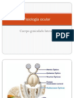 cuerpogeniculadolateral