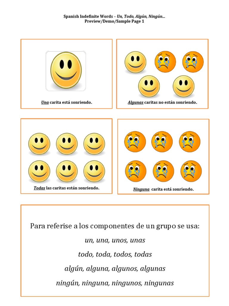 Spanish Indefinite Words - Un Todo Algún Ningún... Preview Demo Sample2 ...