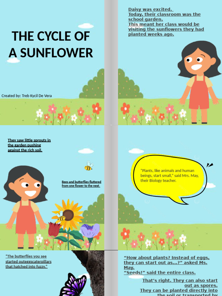 The Cycle of a Sunflower | PDF