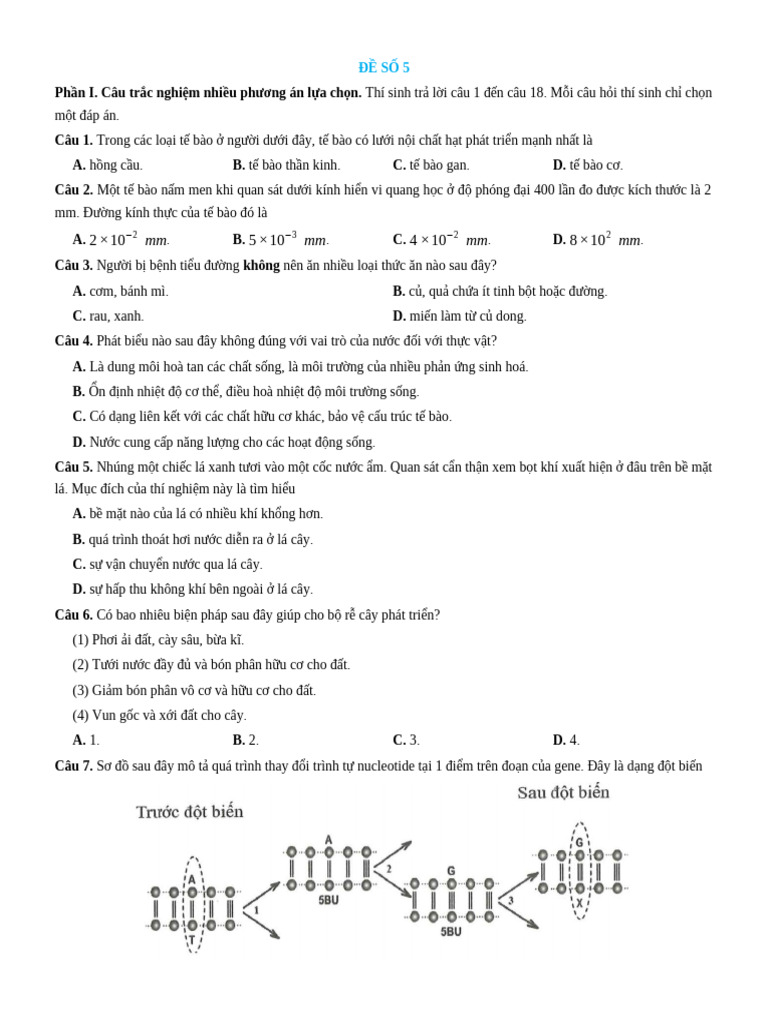 ĐỀ SỐ 5 - HS | PDF