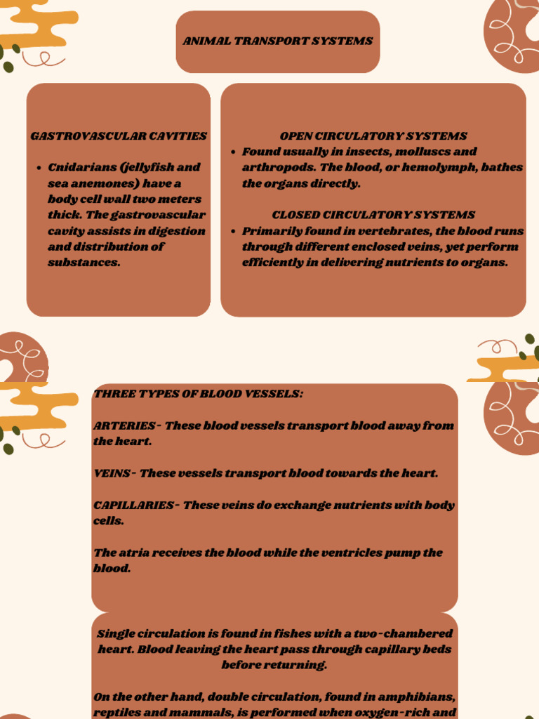 Animal Transport Systems Explained | PDF