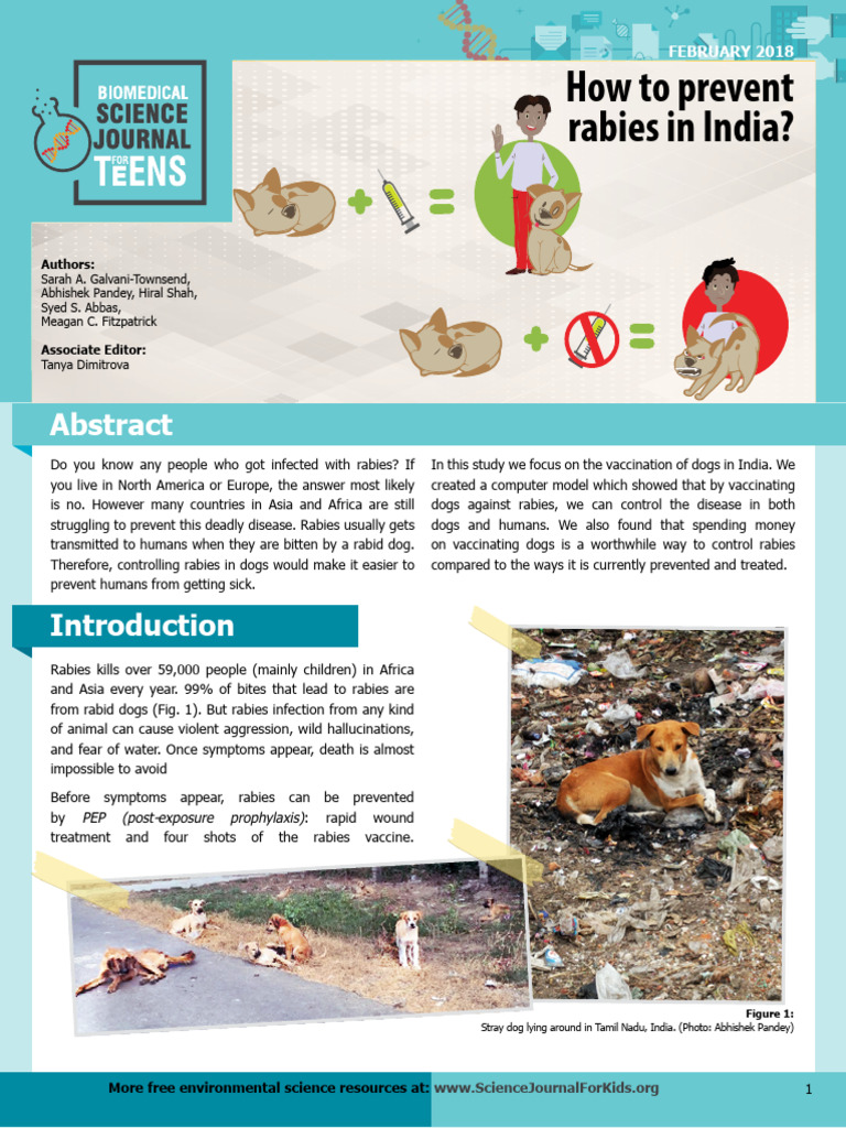 Rabies Article | PDF | Rabies | Vaccination